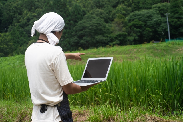 「技能実習責任者」の役割とは?農業・漁業分野でおさえておきたいポイント