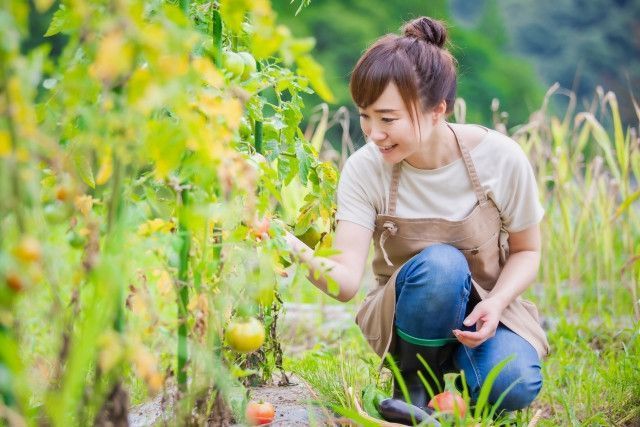 農作業中のつらい生理。トイレに行けないときの対策は?