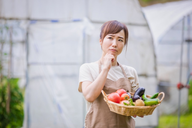 認定農業者になると利用できる補助金や融資制度を教えてください