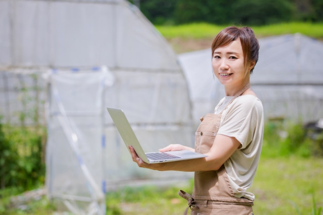 トヨタ「豊作計画」が刷新されたそうだが、内容や使い勝手を知りたい