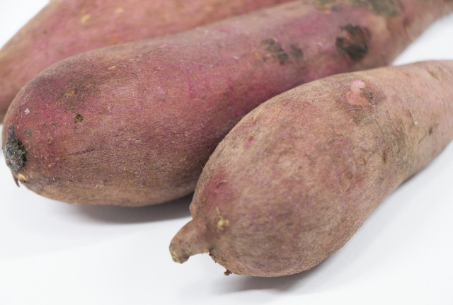 サツマイモの新しい品種を栽培したいが、選び方を教えて欲しい