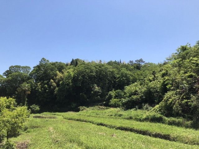 父から相続した農地を手放したい。買い手探しや売却方法を教えてほしい