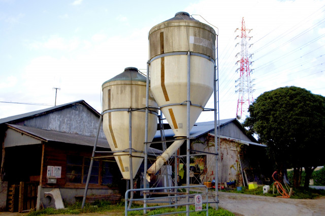 畜産農家に嫁ぎましたが、農作業、家事、義理の両親との同居。このままでは限界です