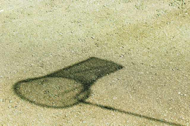 ビニールハウスに繁殖しているバッタのような虫を捕獲できる道具はある？