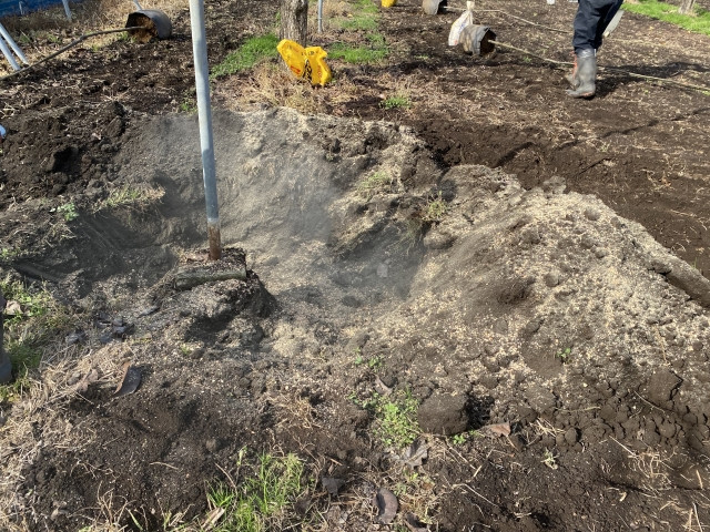 梨の栽培にはお礼肥だけでなく、冬肥も必要ですか？