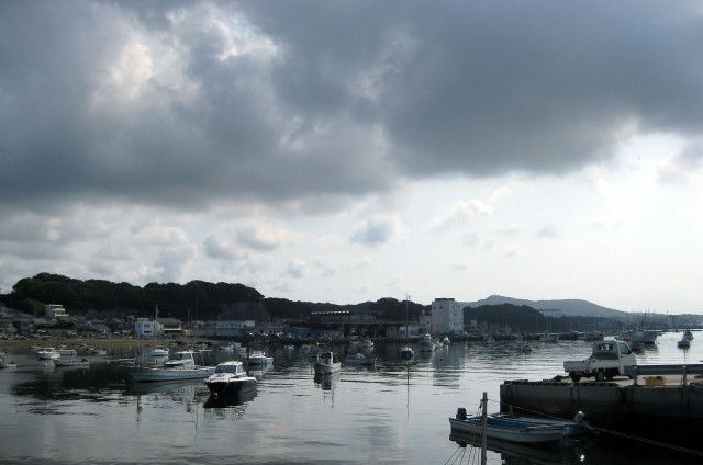 豪雨が原因で海の塩分濃度が下がるって本当ですか？生態系に影響はありますか？