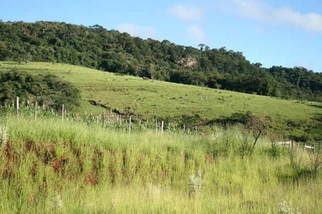 傾斜地にある畑の土の流出を防げて、手間がかからない作物はありますか?