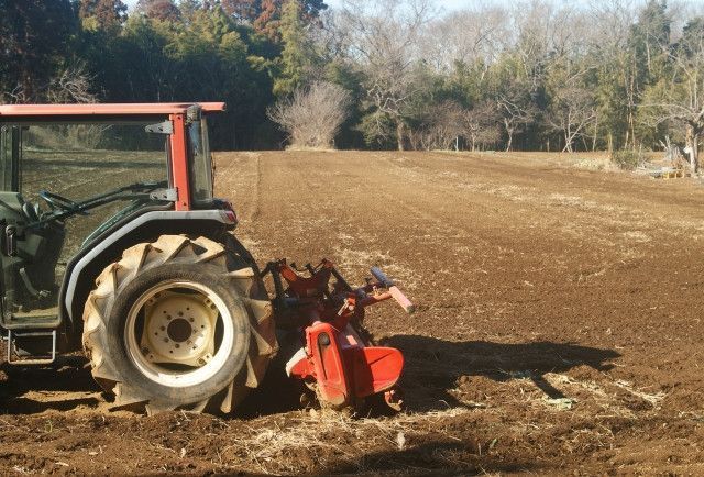 耕地を休ませている期間も収益がほしい！微細藻類や梅しめじの栽培を検討しています