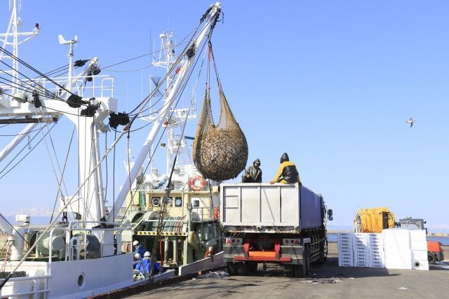 海外に魚を輸出したいのですが、何から始めればいいのでしょうか？