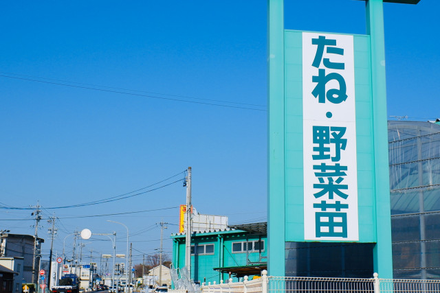 伝統野菜を栽培したい!種や苗はどうやって入手すればいいのでしょうか?