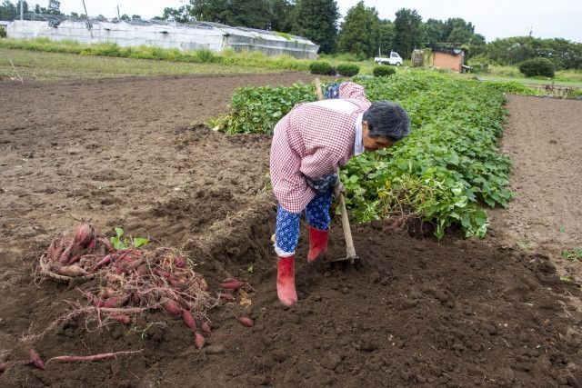 親子で農業を継承する際に最低限しておくべきことはなんですか？