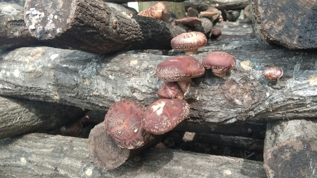 親は何をすべきでしょうか?