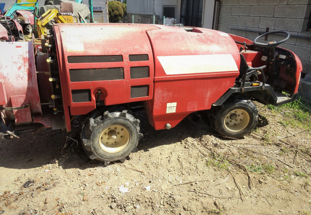 シャインマスカット栽培で葉に枯れたように見える斑点が！原因は？