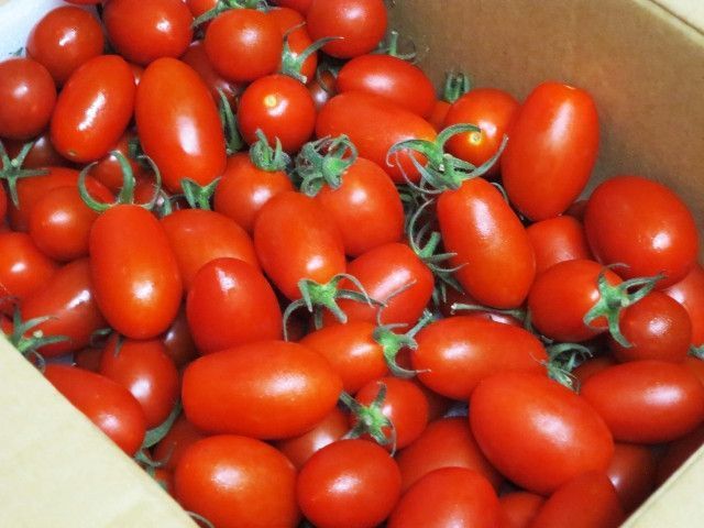 アイコ（ミニトマト）の販路を広げる方法はありますか？