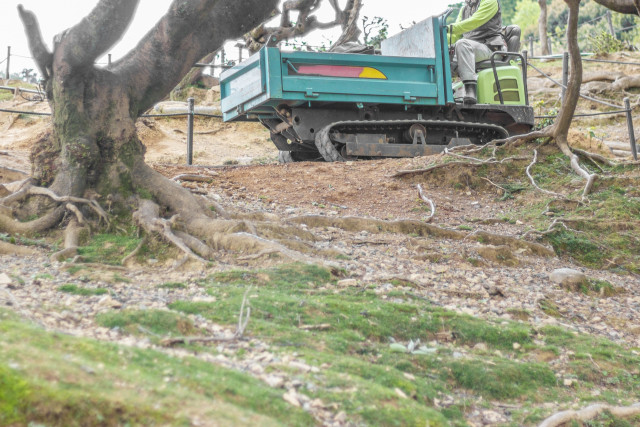 平坦地と傾斜地が混在する農地。梅の栽培には平地に造成するかモノレールを整備するかどちらがいい？