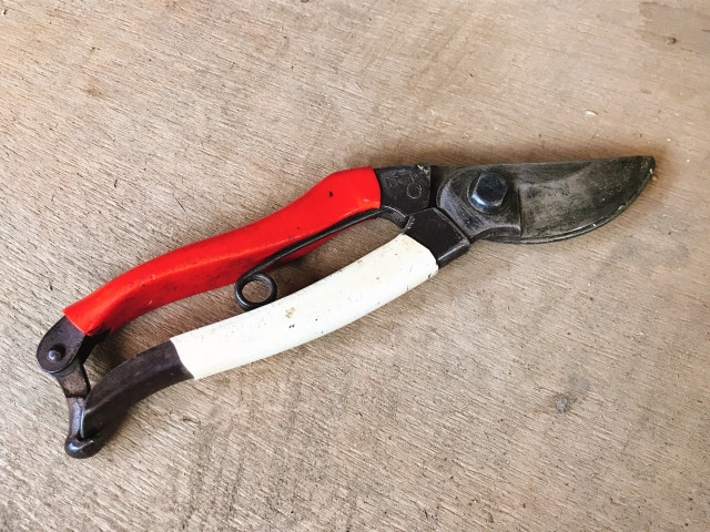 初心者向けで、作業しやすい剪定バサミの選び方を教えてください