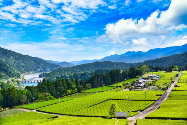 どうする？農家のあとつぎ問題「知らなきゃ損する！」資産分割を防ぐには？相続編