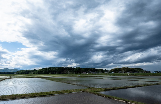 設備や他所の農家への損害に対応している民間の農業保険商品は？