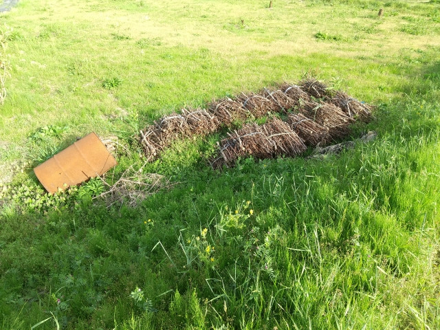 地元の農業を途絶えさせないよう後継者になりたいが、譲ってくれる人の探し方がわからない