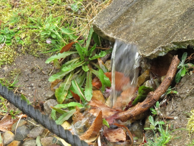 水害が多くて心配。「田んぼダム」をやってみたいが、稲への影響は?