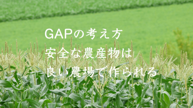 東京五輪で注目!今さら聞けないGAP認証とは?農業成功のパートナー