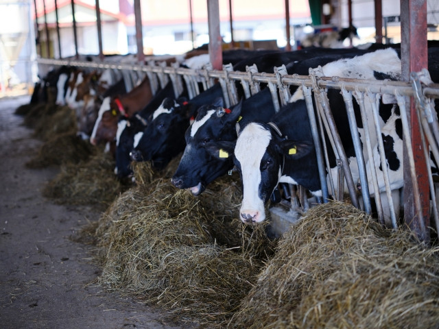 酪農農家ですが後継ぎがいないので、事業の一部を売却したい。どこに相談すればいい？