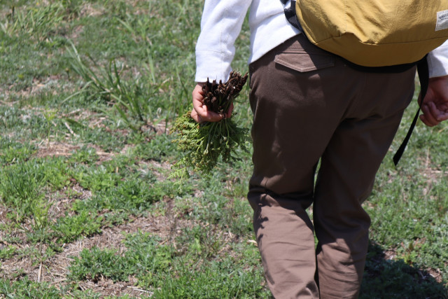 一般人がキャンプや山菜採りのため、無断で山に入ってくる。どう対処すればいい?