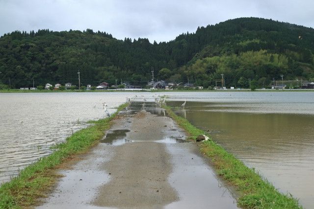 川が氾濫して圃場が土砂で埋め尽くされました。「天地返し」よりも効率的に畑を再生する方法はないですか?