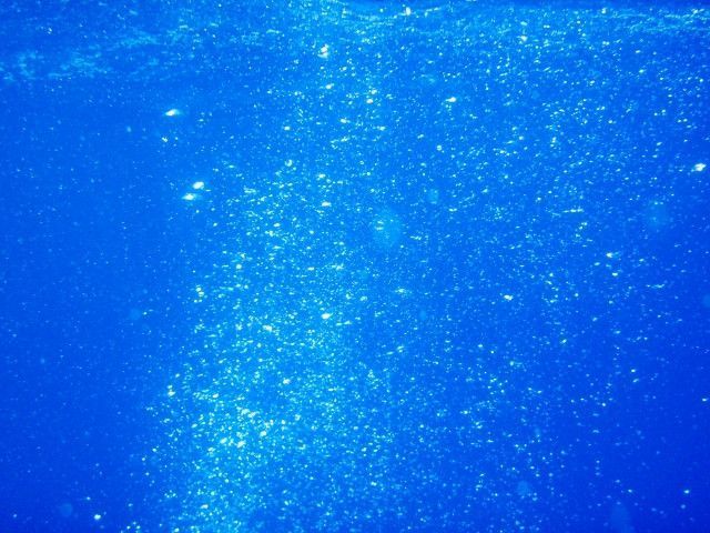 ナノバブル水の導入を検討中。初期費用や費用対効果はどれくらい？