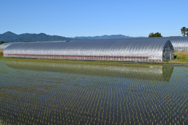 ビニールハウスのレンタルを持ち掛けられた。価格の目安を知りたい