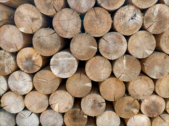 農業用倉庫の増築を検討中。「ウッドショック」で木材が値上がりしているから急いで建てるべき？