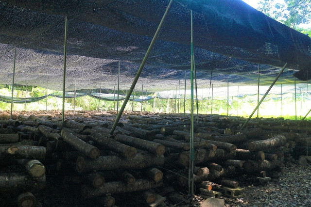 しいたけ栽培時の遮光ネットの張り方を知りたい