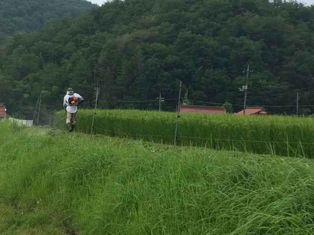 収穫の繁忙期だけ人を雇いたい。若い人に手伝ってもらうには?