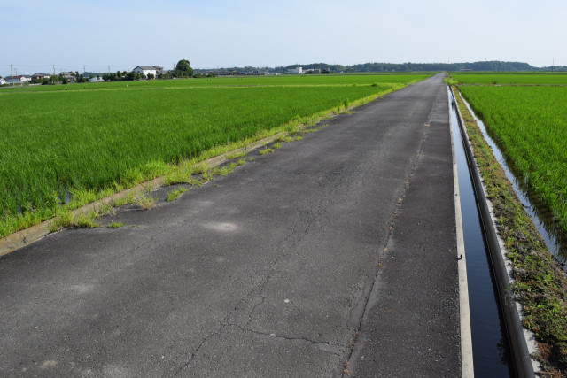 市道の農道が荒れ放題。お願いすれば自治体が整備してくれる?