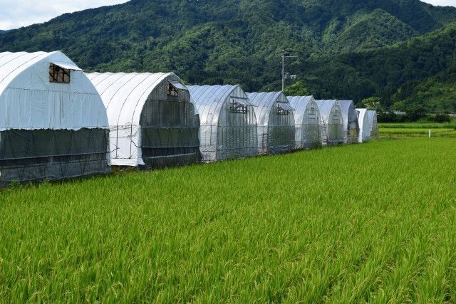 外出先でもハウス内の温度や湿度がわかるシステムはありますか？