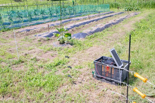 イノシシが出没した時だけ光や音を発する機器は撃退に効果がありますか？