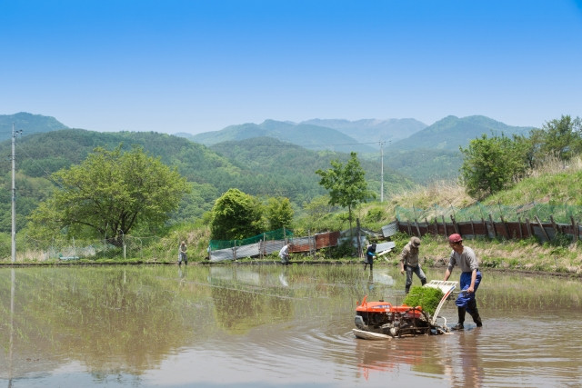 どうする?農家のあとつぎ問題「農業経営のプロ」が教える3つのハードルとは?