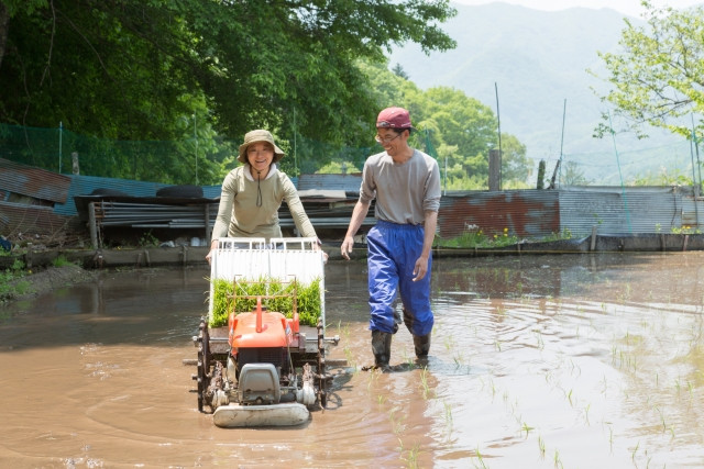 40代・独身・親同居・農家の婚活方法は？アプリにはやや抵抗もあるが…
