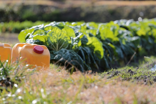 RACコードとは?RACコードを活用して病害虫を防除するコツを教えて