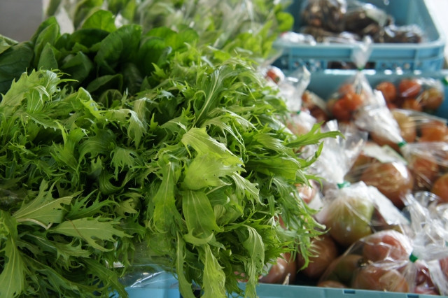 有機野菜を自宅の庭先で販売したい。どう宣伝したら良いですか?