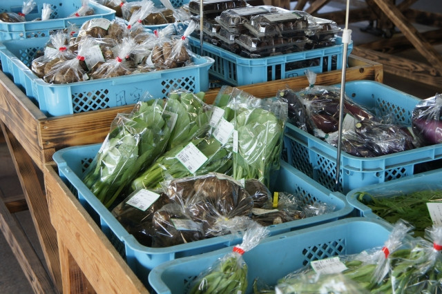 Google検索キーワードで知る！コロナ禍に売れる「農産物」とは？食のプロ「オイシックス」に聞いた！