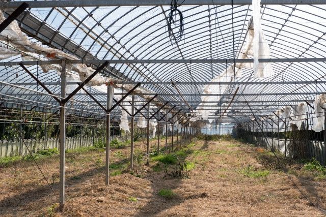 高所恐怖症で高いところでの作業が苦手です。安全面を考えた落下防止のグッズはありますか?