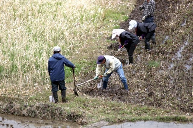 リタイアした後に発展途上国で農業指導したい。どこに相談すればいいですか？