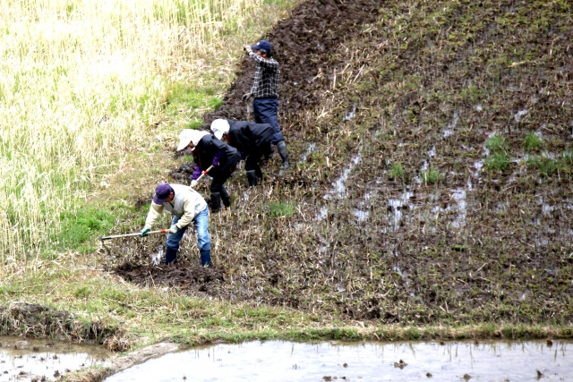 技能実習3号とはどのような区分ですか？条件やメリットは？