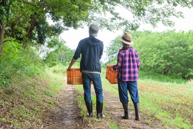 子供はふたりいるが姉妹のため後継ぎが欲しい。婿養子が来てくれるだろうか