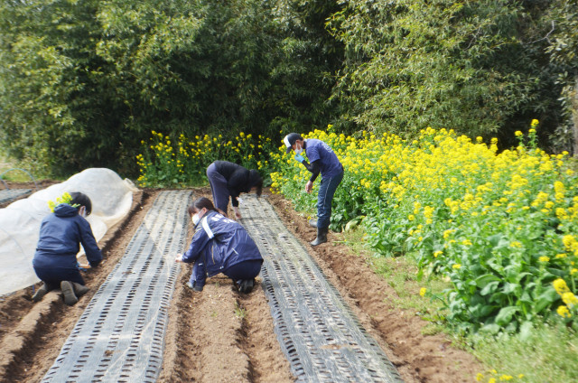 農業の魅力体験！素敵な農家との出会いで「憧れの職業」へ！農業の魅力発信コンソーシアム
