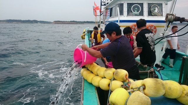 ブルーツーリズムをはじめたいのですが、必要な許認可を知りたいです