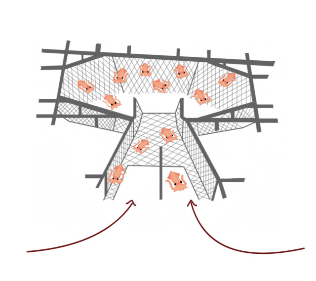 ホタルイカの定置網を説明している図