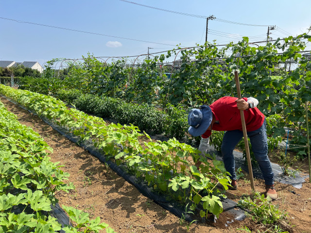 新規参入で営農3年目。ほ場の保肥力に悩む農家が選んだものとは