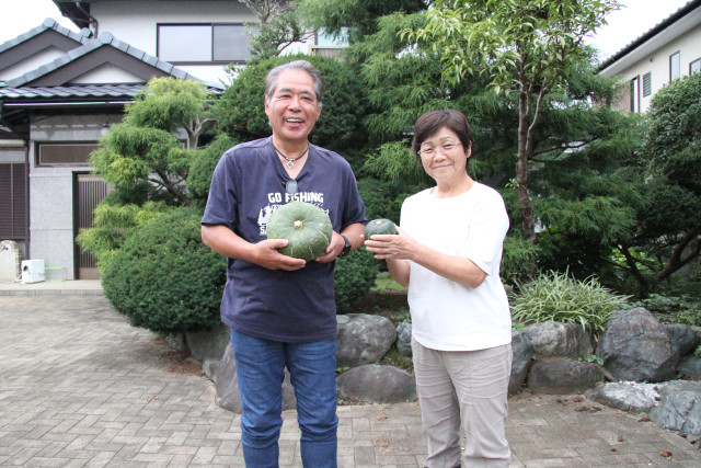 腐植酸資材で驚きのサイズアップ　栽培期間が延びて収量もアップ！